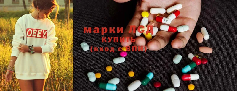 магазин продажи наркотиков  Чистополь  LSD-25 экстази кислота 